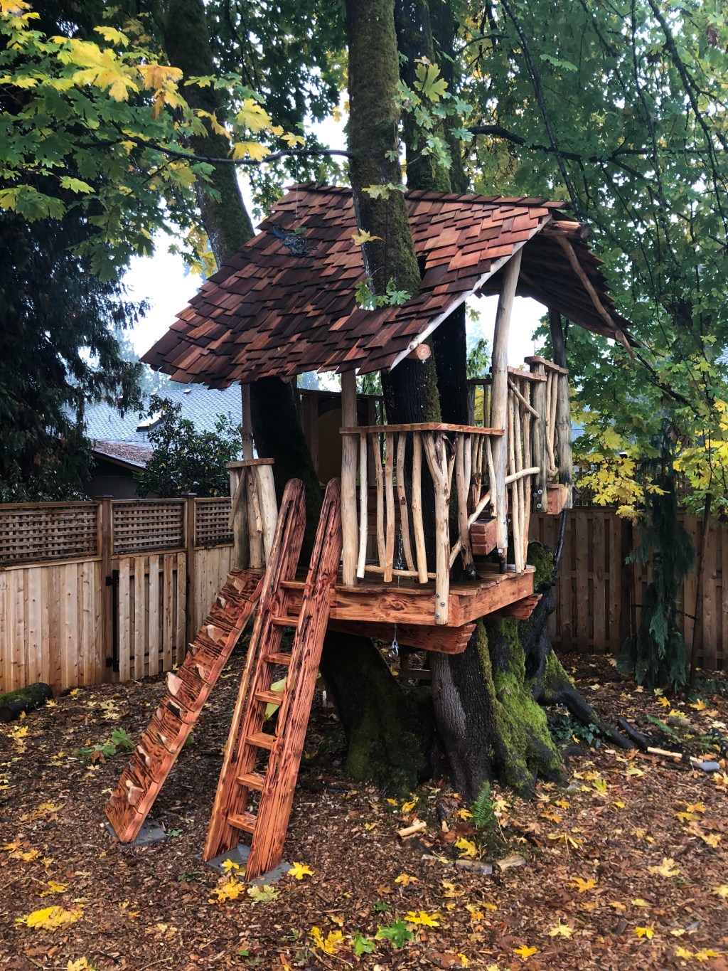 Big Leaf Maple Playfort